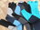 Kinderreithose LENI oder TAYLOR   versch.Farben  Vollbesatz    gr 146 + 152 + 164