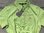 Isabell Werth   Polo Shirt BASIC   grün XS..das letzte....